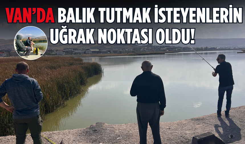 Van Edremit’te Aynalı Sazan Avı! Amatör Balıkçılar Bu Noktaya Geliyor