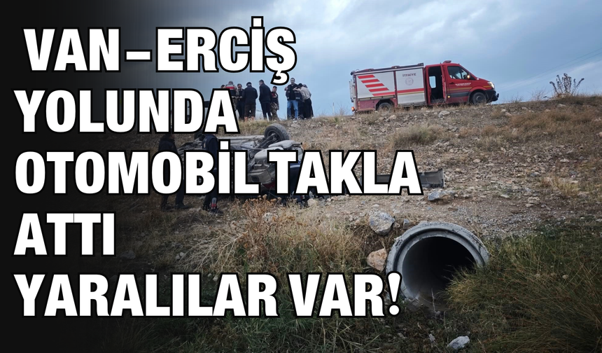 Van-Erciş Yolunda Otomobil Takla Attı! 2 Yaralı