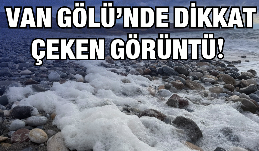 Van Gölü’nde Dikkat Çeken Görüntü: Dalgalar Köpük Köpük Oldu!