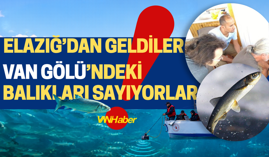 Van Gölü'nde ne kadar balık var?