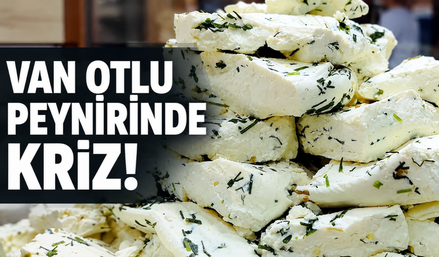 Van otlu peynirinde kriz! Fiyat arttı, üretim azaldı