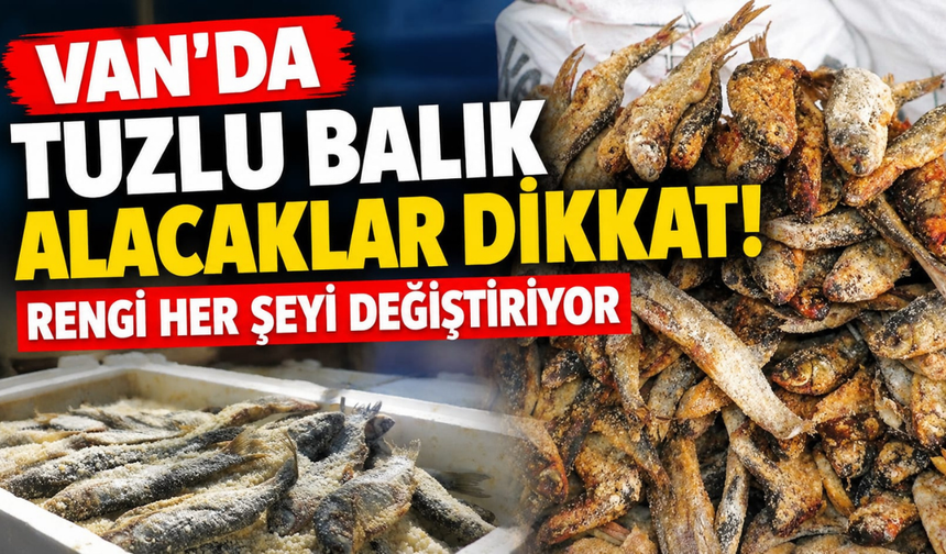 Van’da Tuzlu Balık Alacaklar Dikkat! Rengi Her Şeyi Değiştiriyor