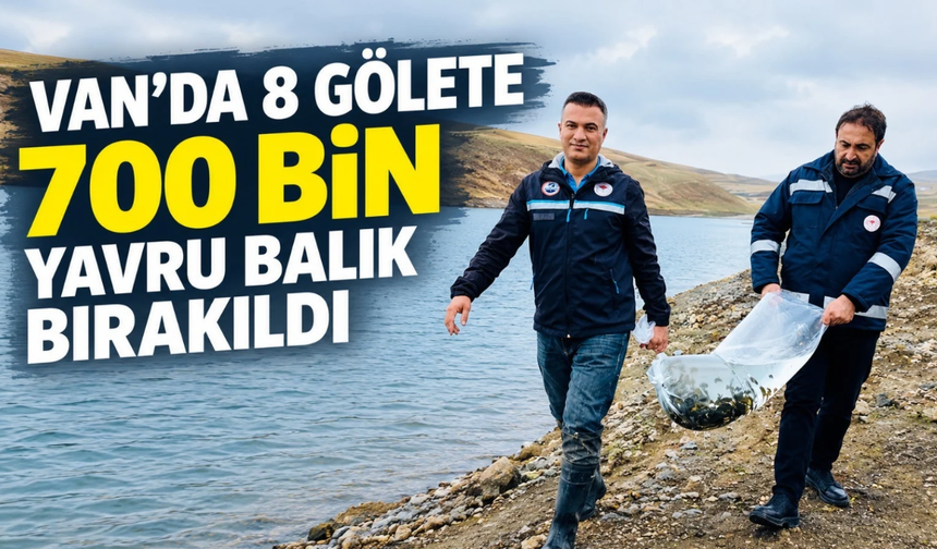 Van'da 8 gölete 700 bin yavru sazan bırakıldı