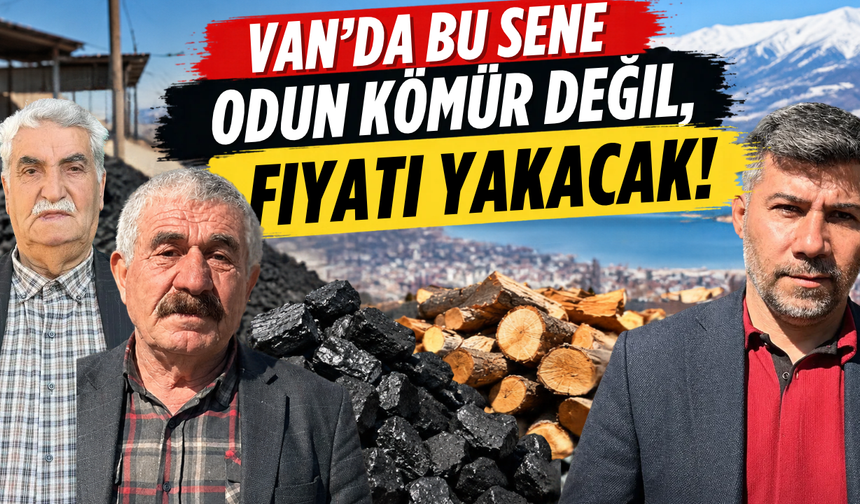 Van’da bu sene odun, kömür değil, fiyatı yakacak!