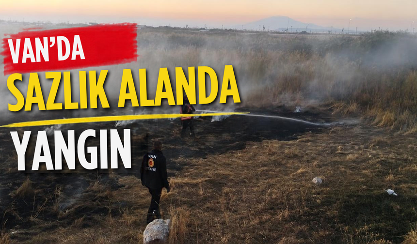 Van Edremit'te sazlık alanda yangın!