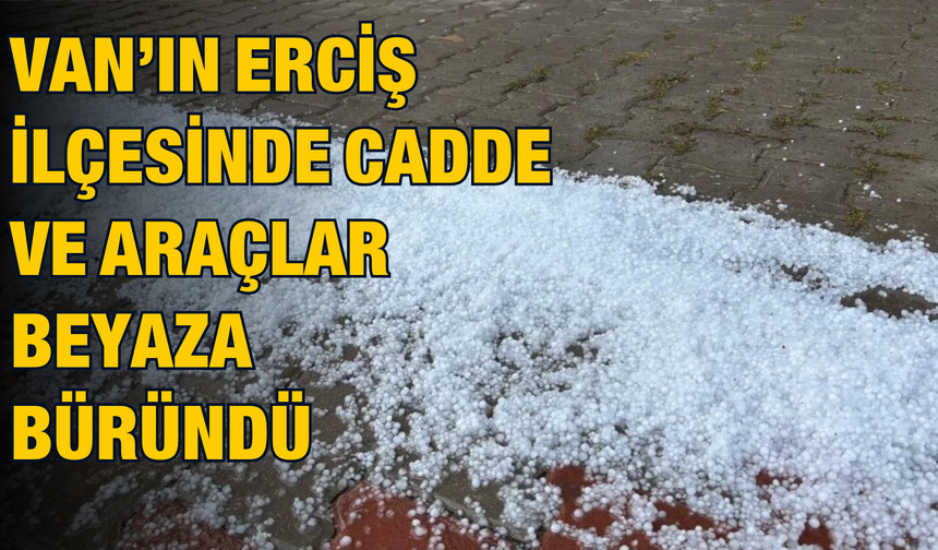 Erciş'te Cadde ve Araçlar Beyaza Büründü