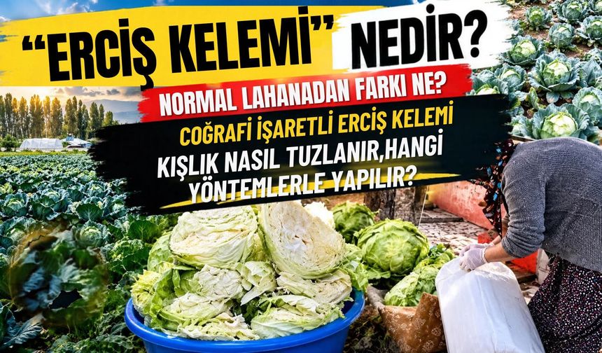 Van'ın Kazan Kazan Tuzlanan Tescilli Ürünü! Erciş Kelemi Nedir, Nasıl Saklanır, Saklama Yöntemleri Nedir?