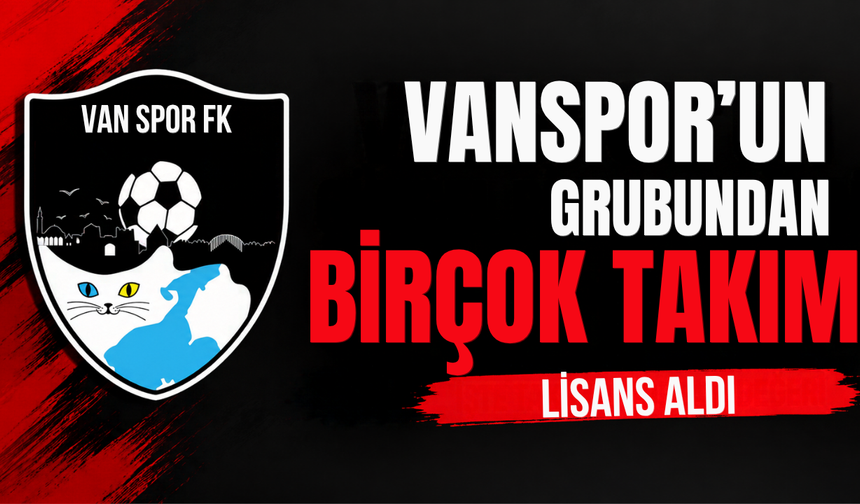 Vanspor’un grubundan birçok takım lisans aldı