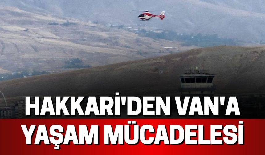 Hakkari'den Van'a Yaşam Mücadelesi