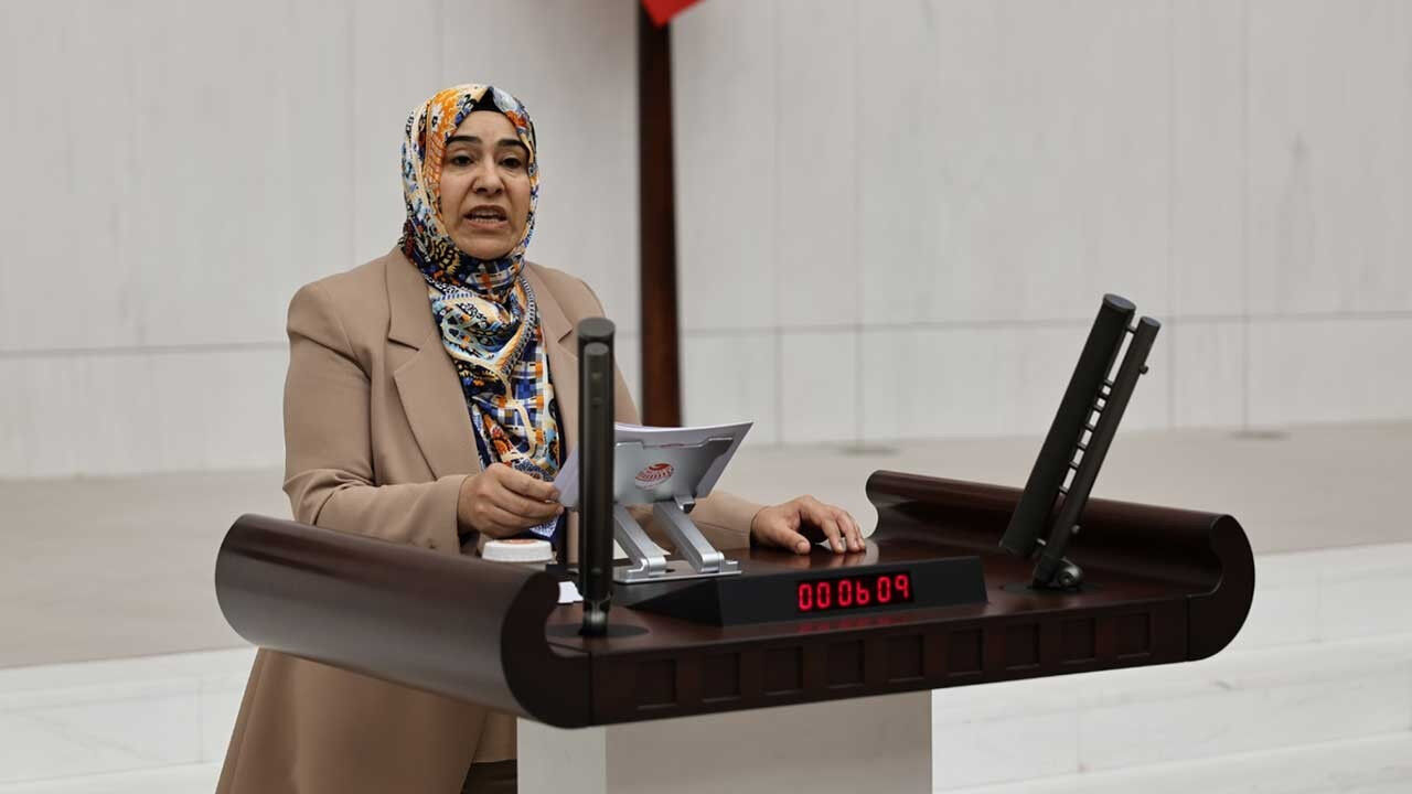 Gülderen Varlı-1