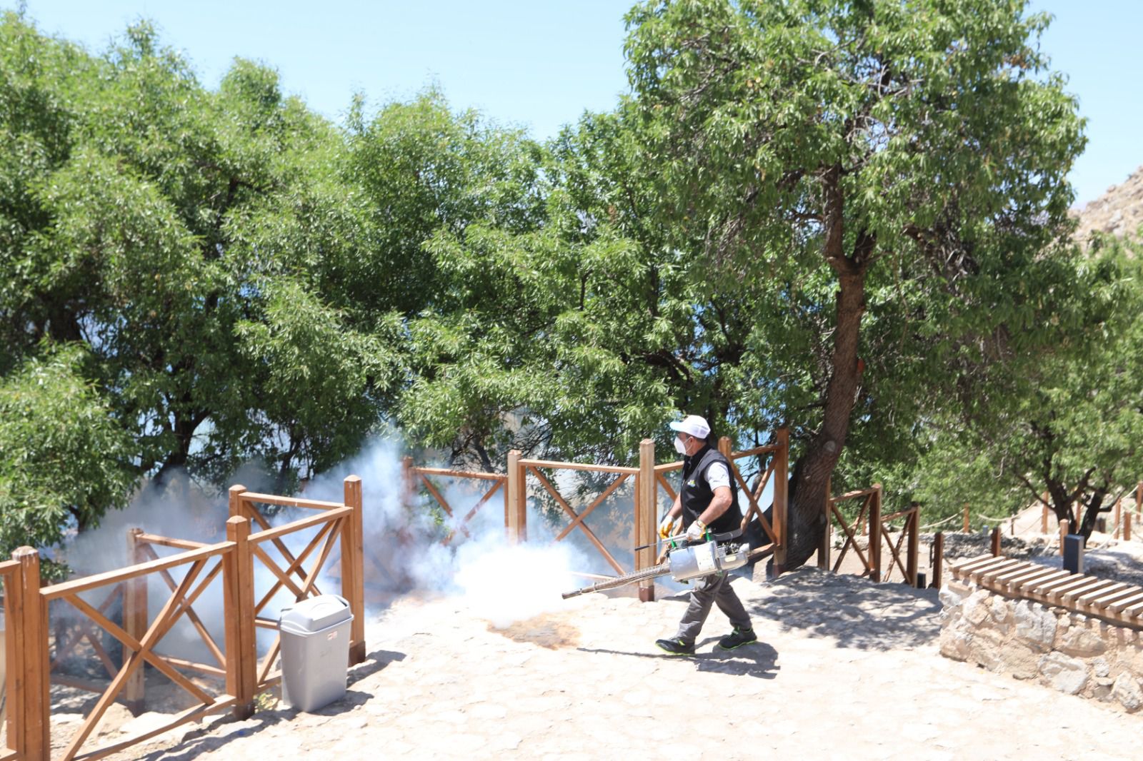 Haşare