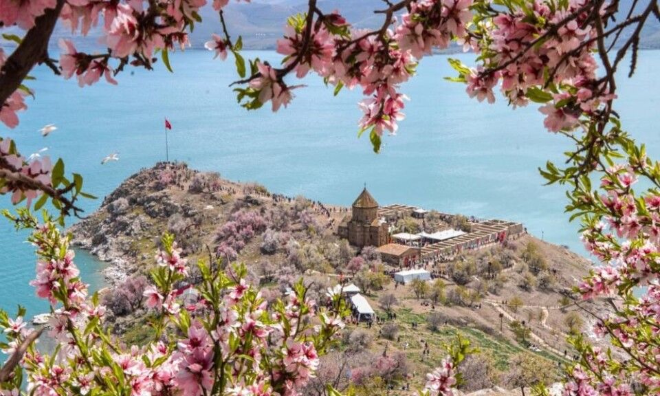 10117500 88601 Akdamar Adasi Badem Ciceg