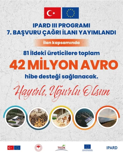 2-31
