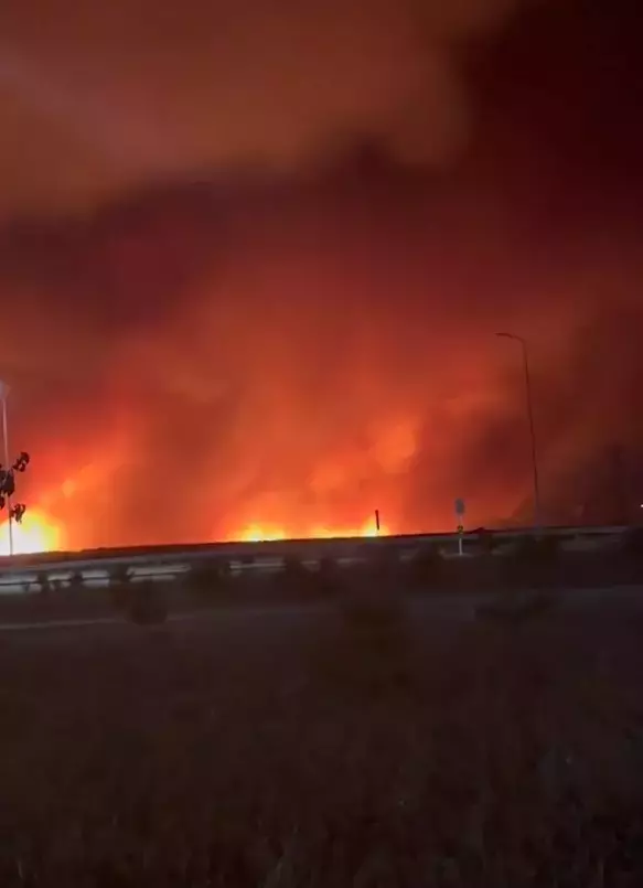 Tekirdag Alev Alev Orman Yangin Buyudu Yerlesim 18852024 3288 M