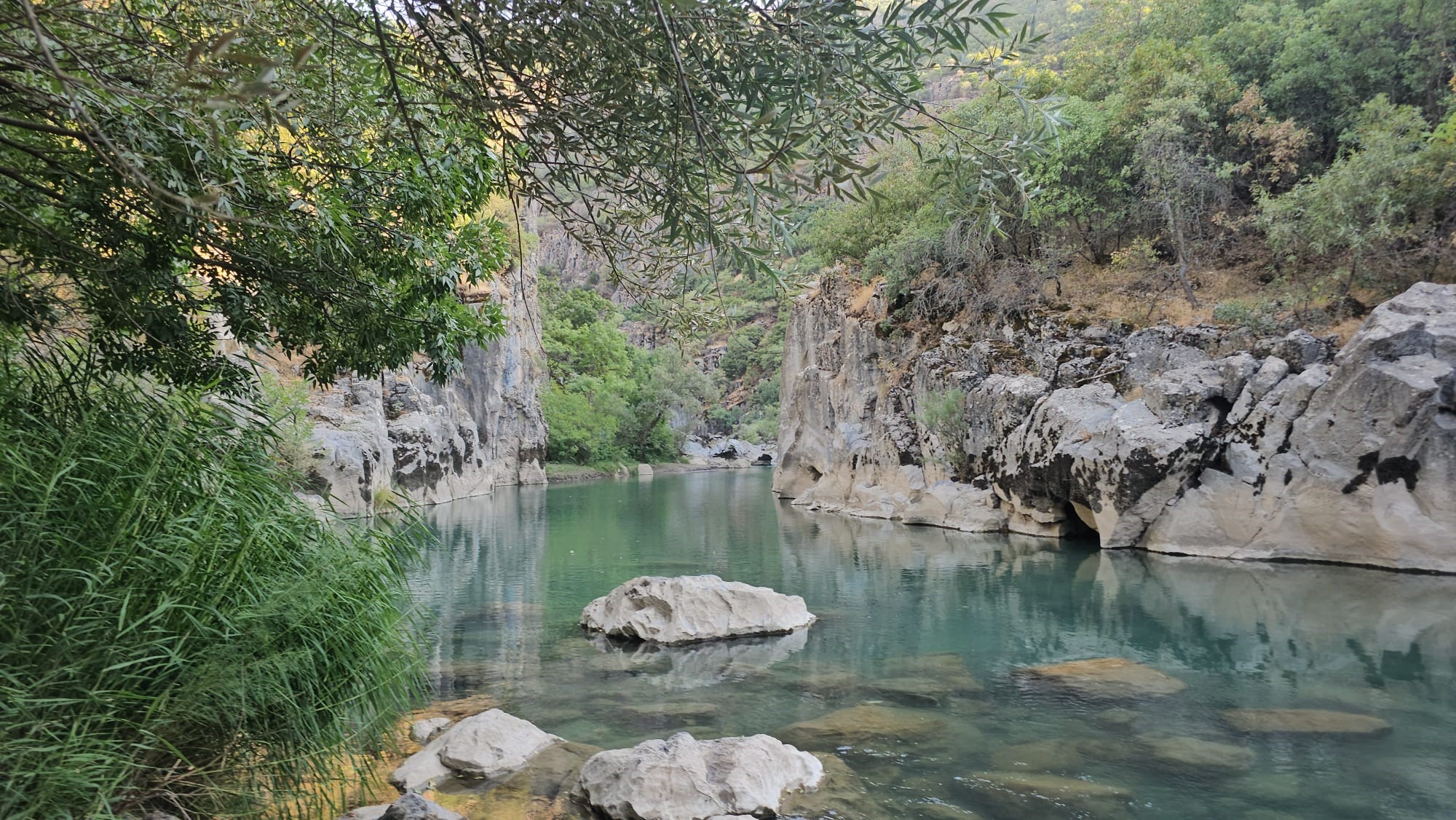 A W526156 03