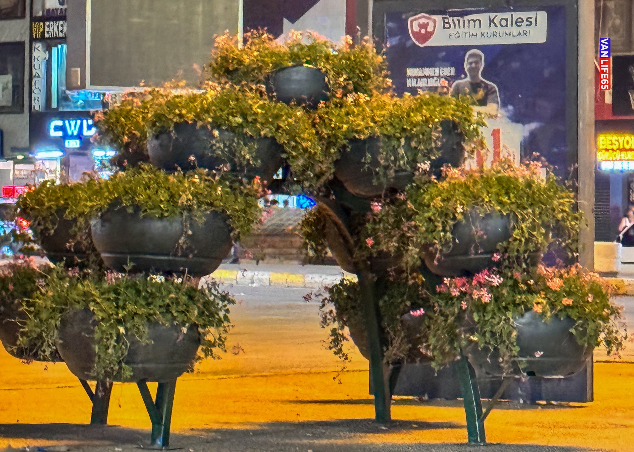 Dev Saksı