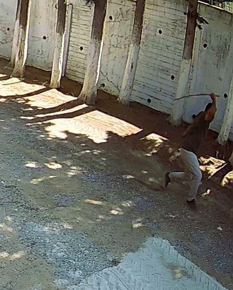 Başkan3