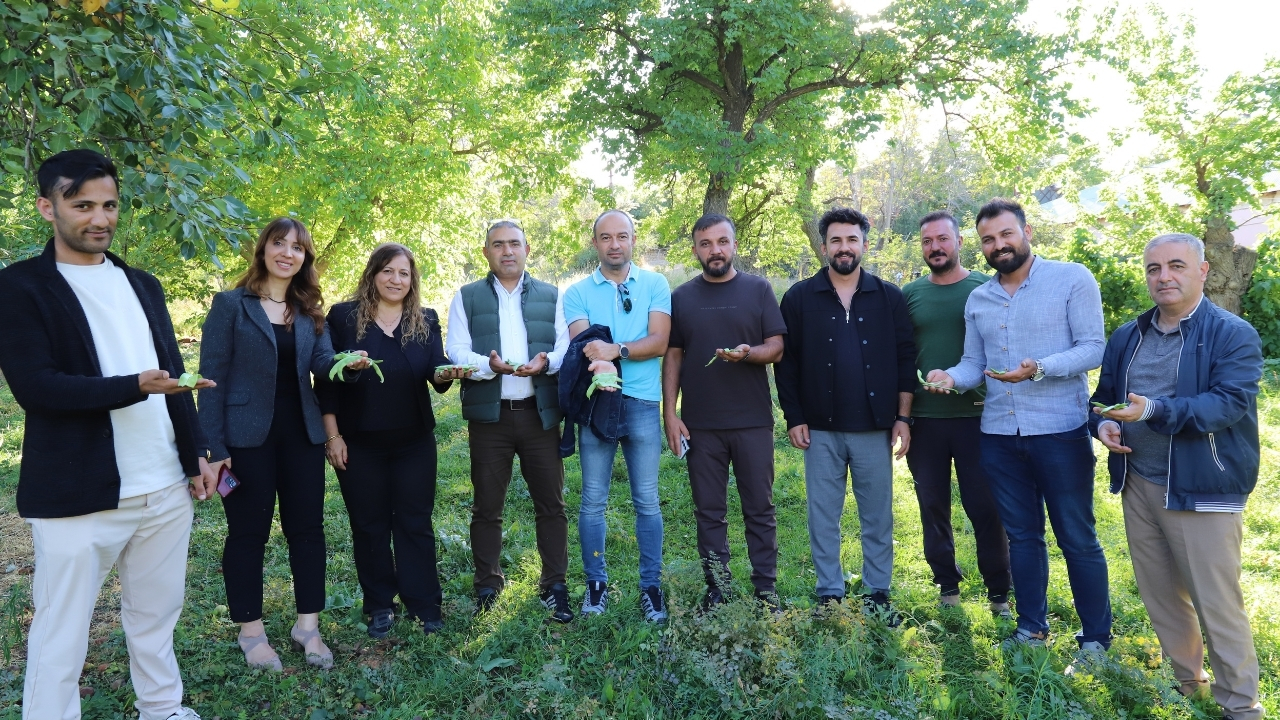 Merve Şablon (Eğiştirmeyelim) (65)
