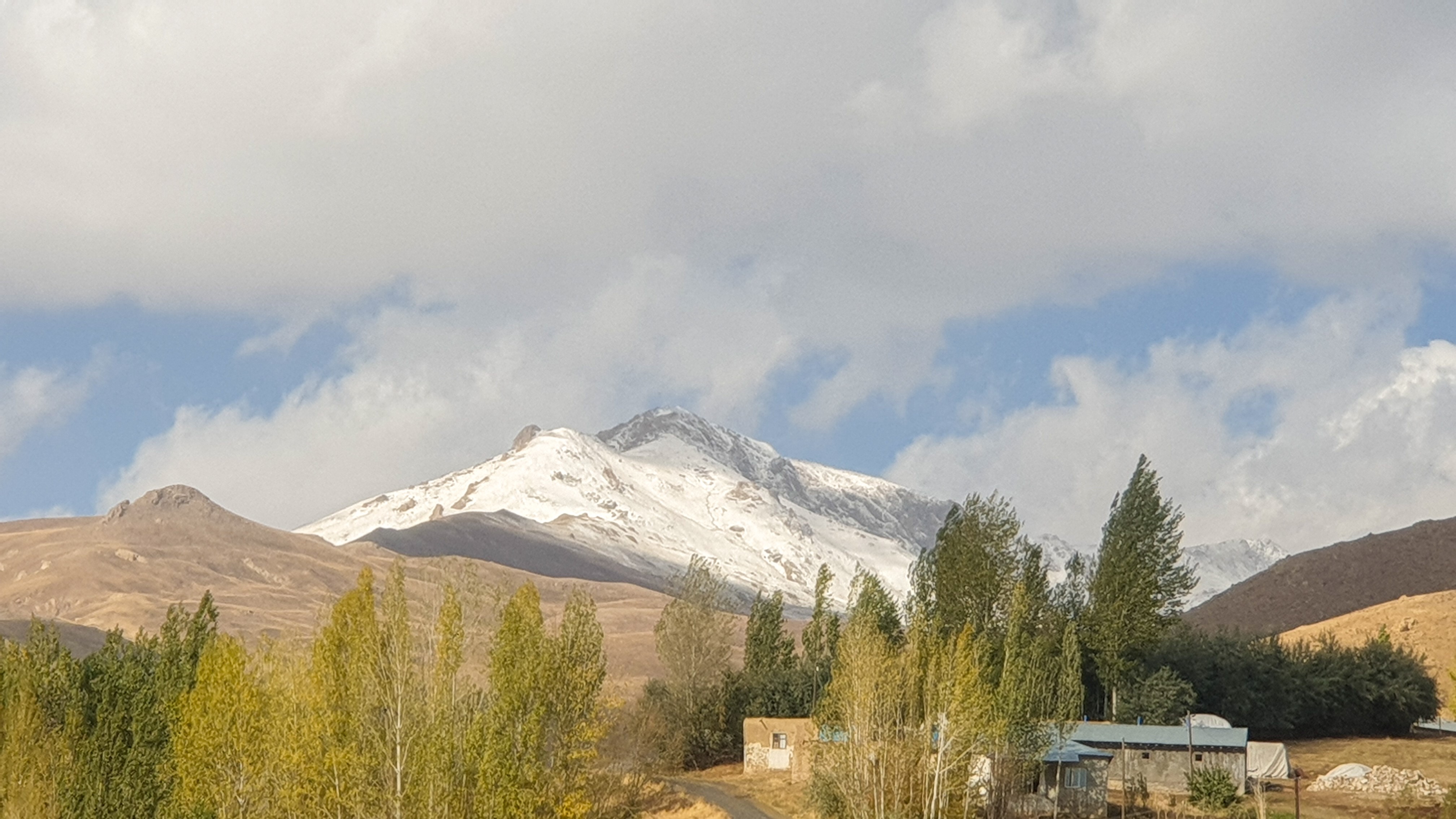 A W557448 01