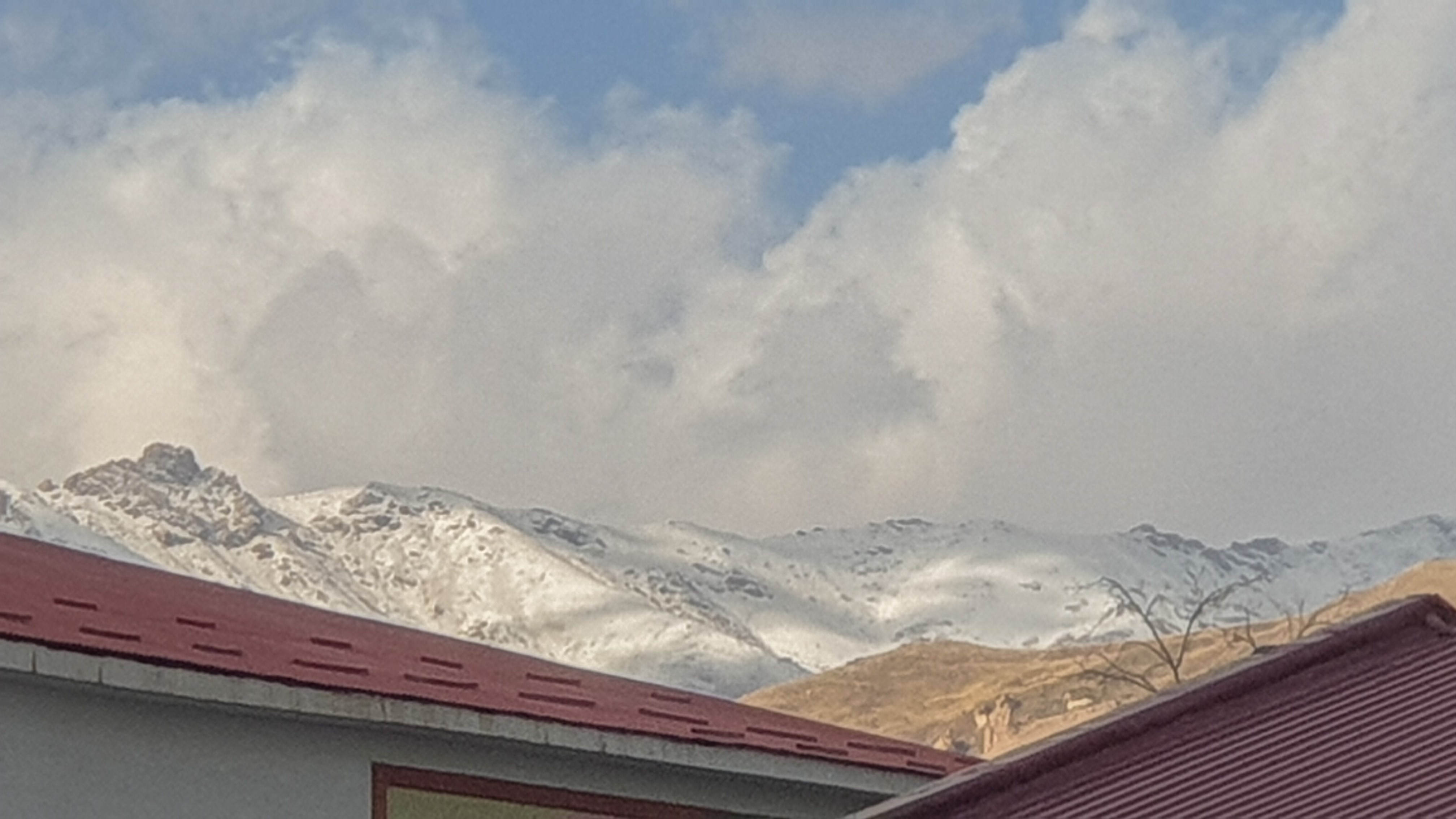 A W557448 02