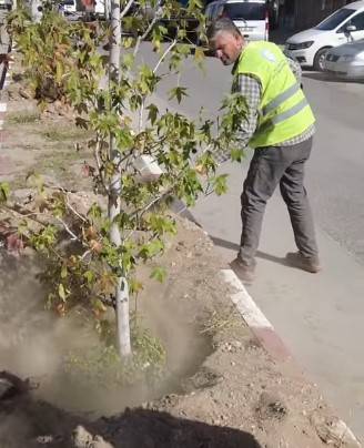 Belediye-12