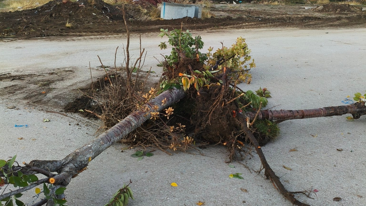 Merve Şablon (65)-1