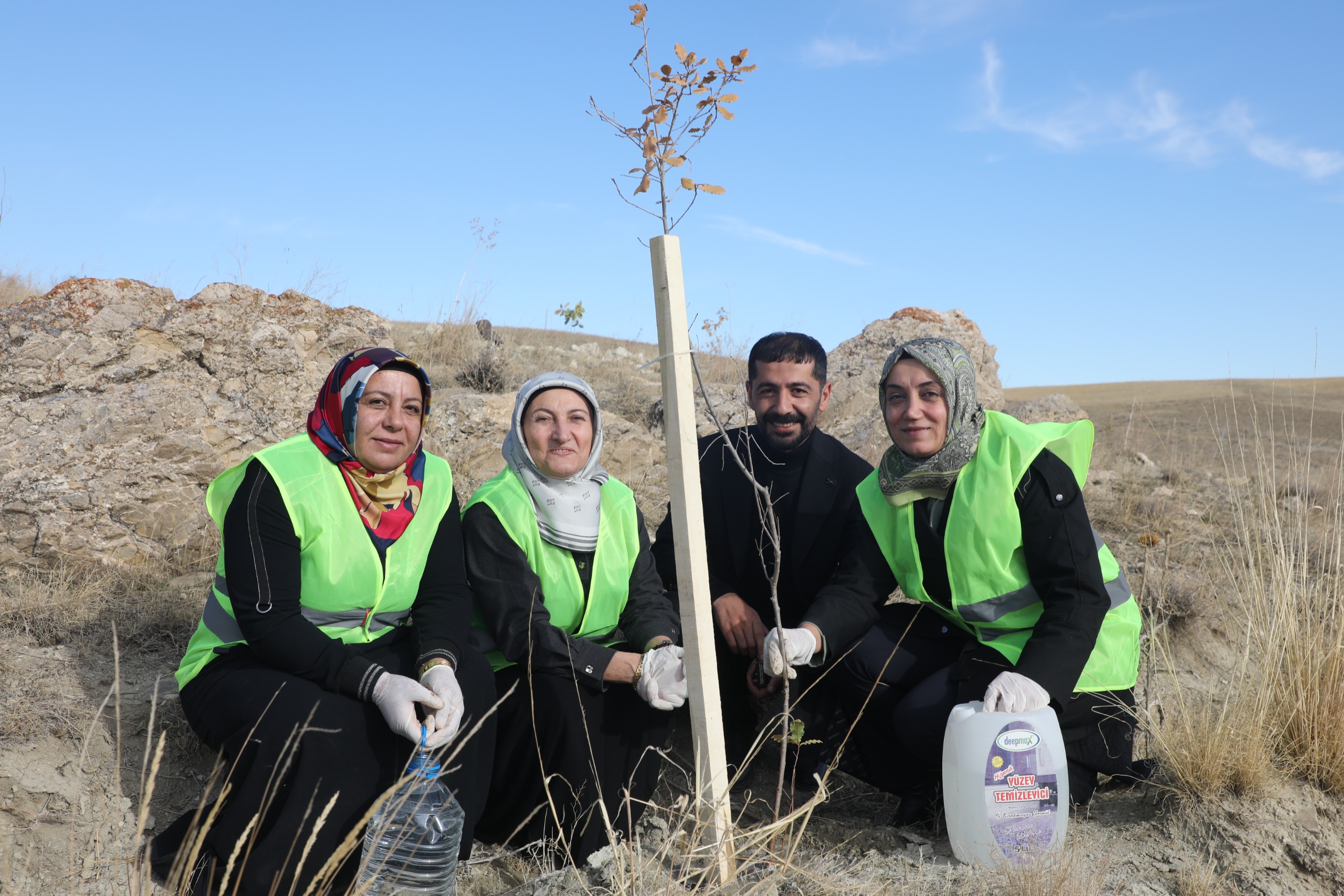 1582A767 Dd7E 4425 8171 Ecbfd205B1De