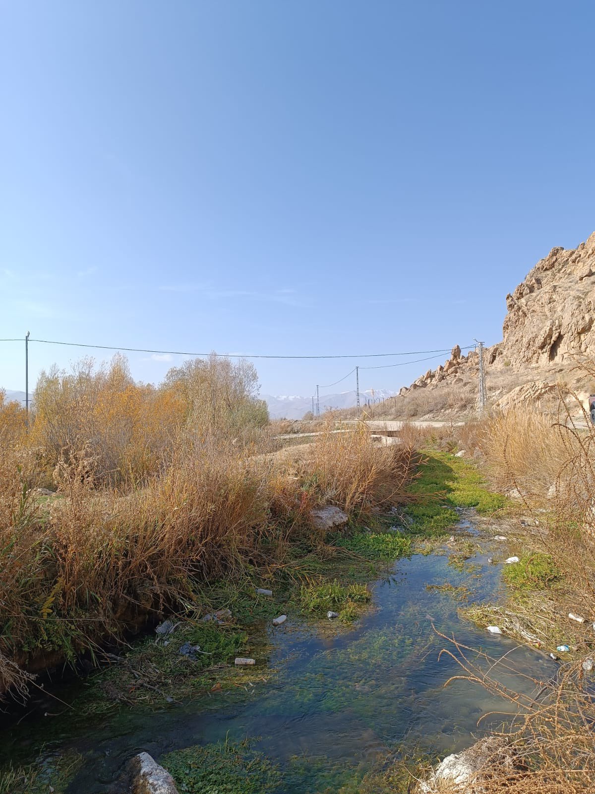 G5 T Yc Y W U A A A G Xh