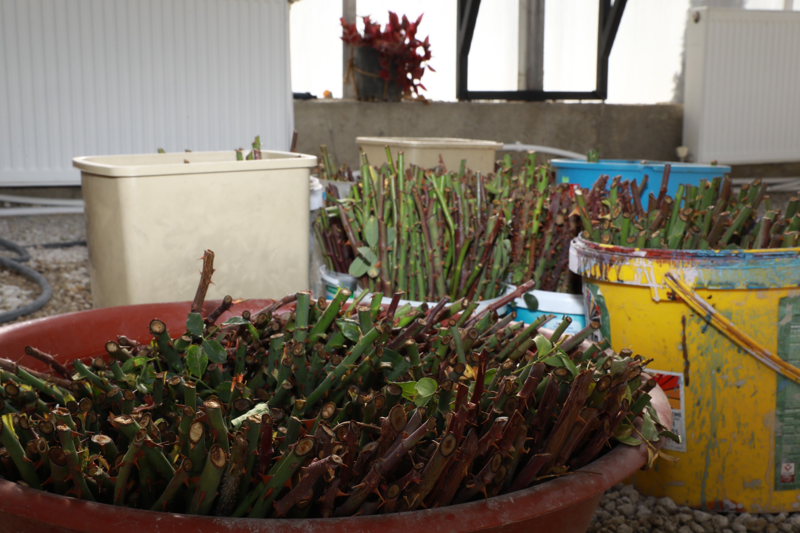 Whatsapp Görsel 2025 11 07 Saat 10.55.11 30C37A5F