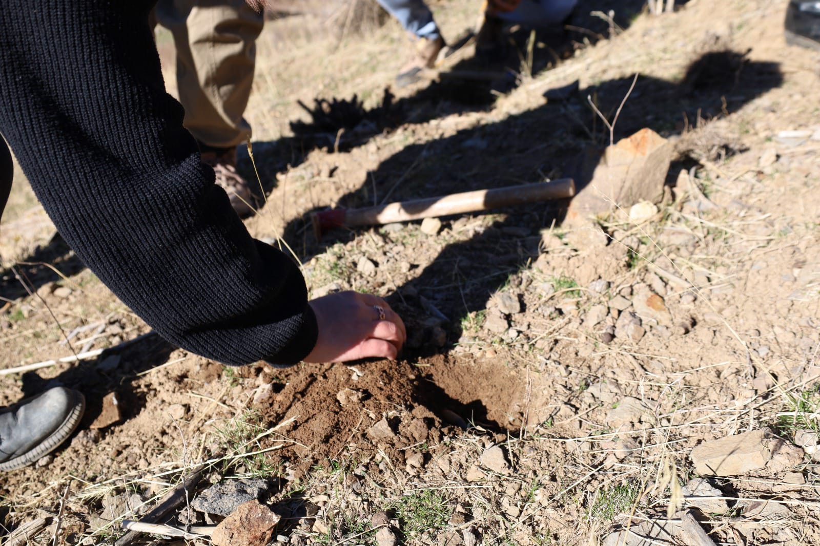 Whatsapp Görsel 2025 11 21 Saat 15.33.49 Cd3Bfc78