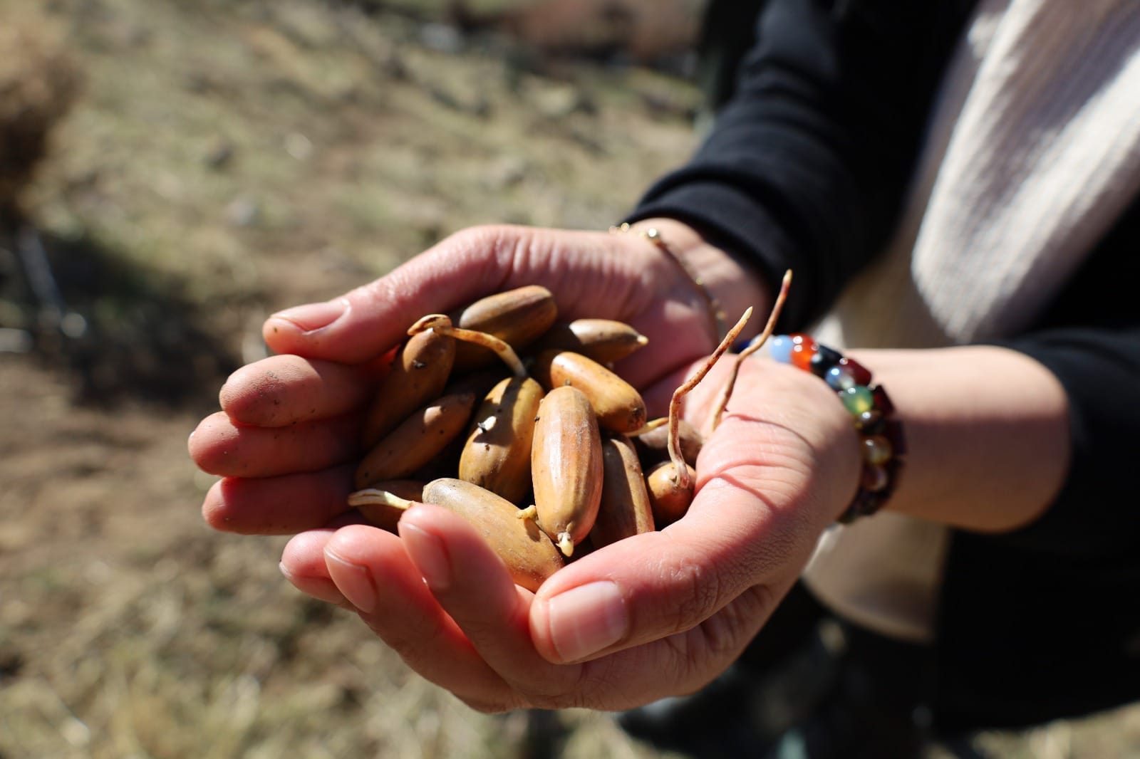 Whatsapp Görsel 2025 11 21 Saat 15.33.51 924C97F6