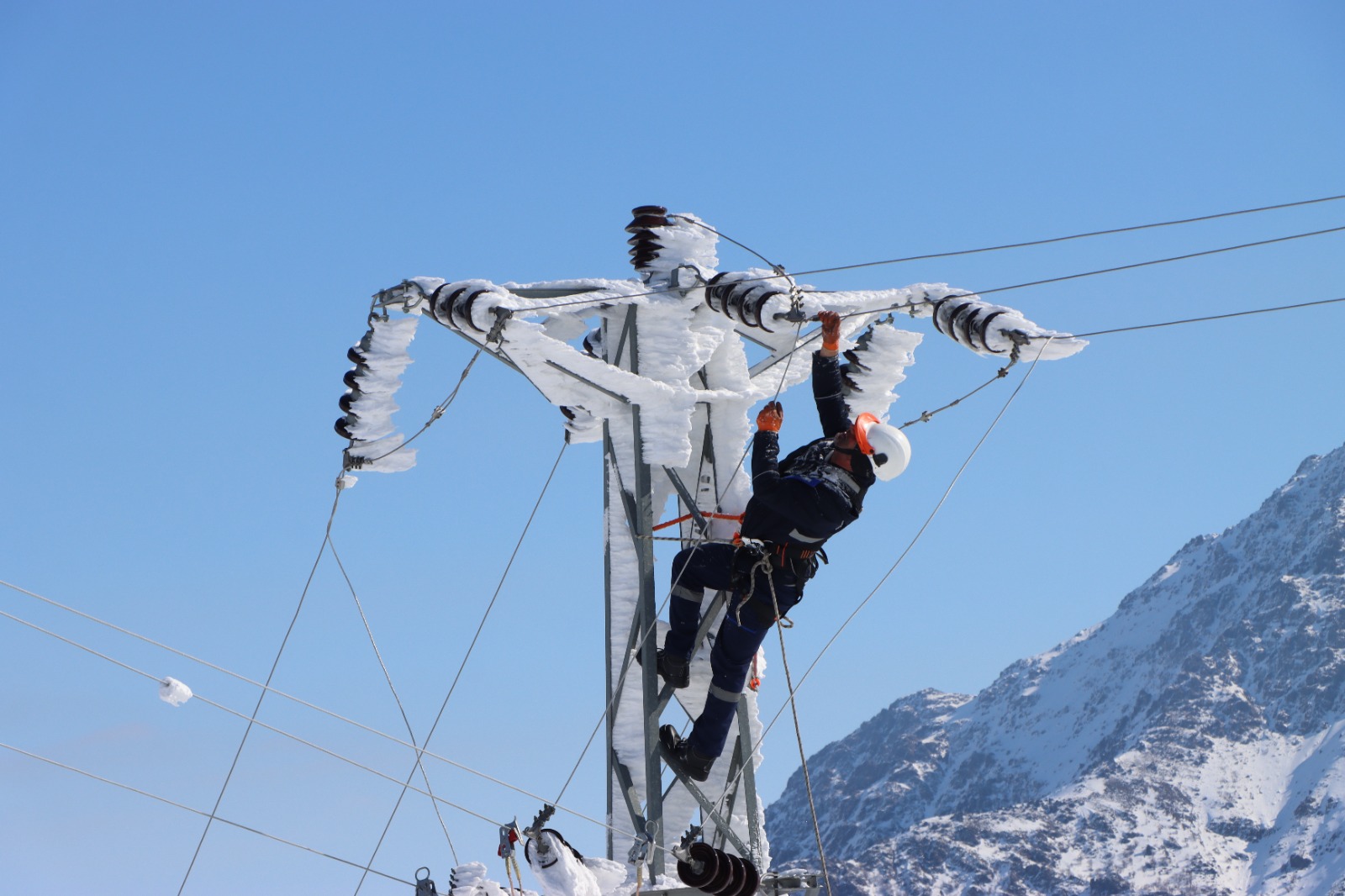 Whatsapp Image 2025 11 04 At 15.47.16