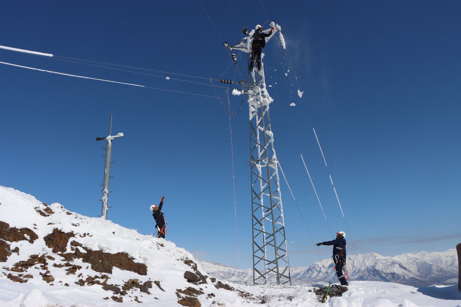 Whatsapp Image 2025 11 04 At 15.47.17