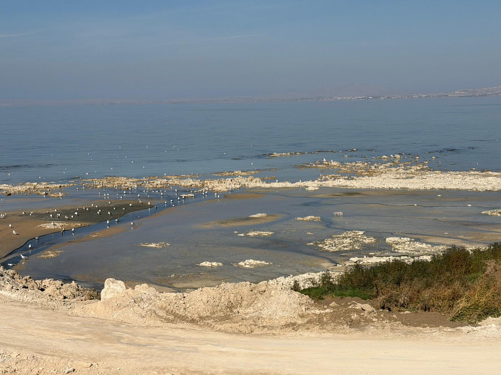 Whatsapp Image 2025 11 10 At 12.20.00 (2)