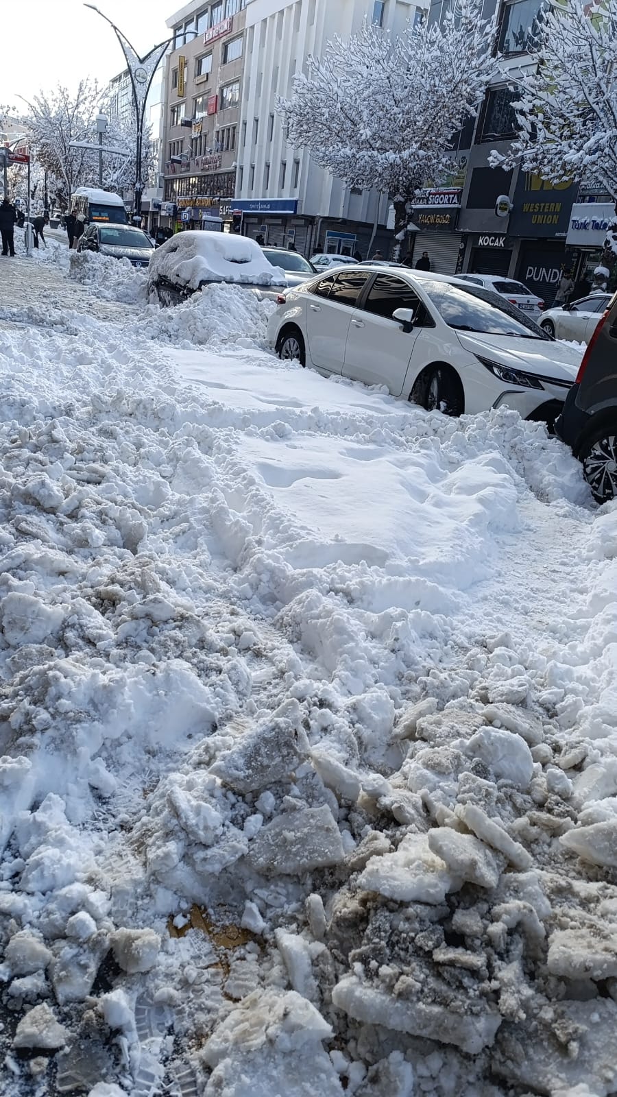 3D5Aa5B4 1B14 44Ae Bd4D 262A398E81Bd