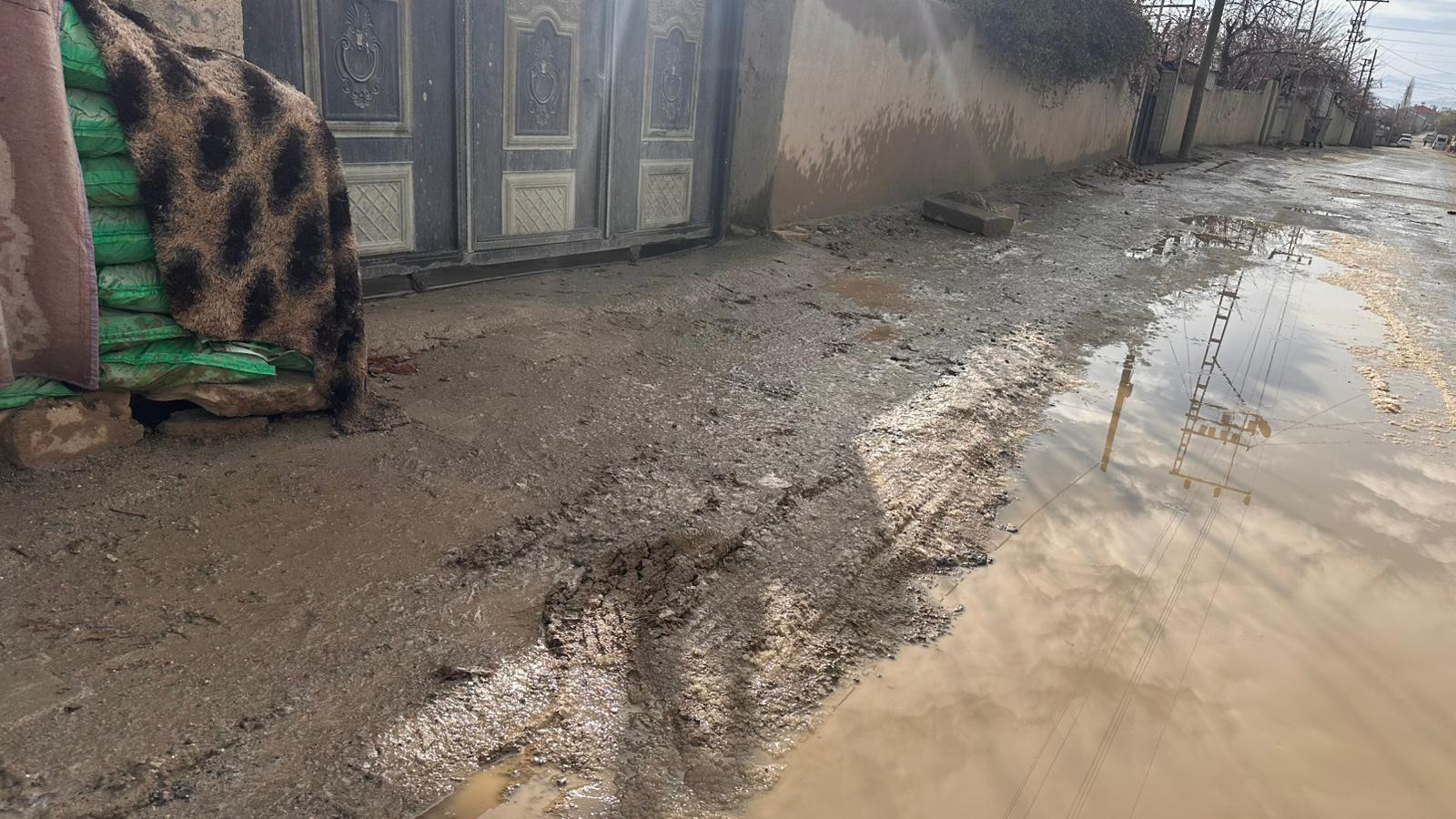 856Bcdd6 78E0 45F8 B15F 2Dcad7192A14