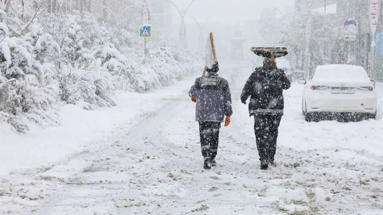 D1Cd92B1 4430 42A1 B83F 8945823Fa308 (1)