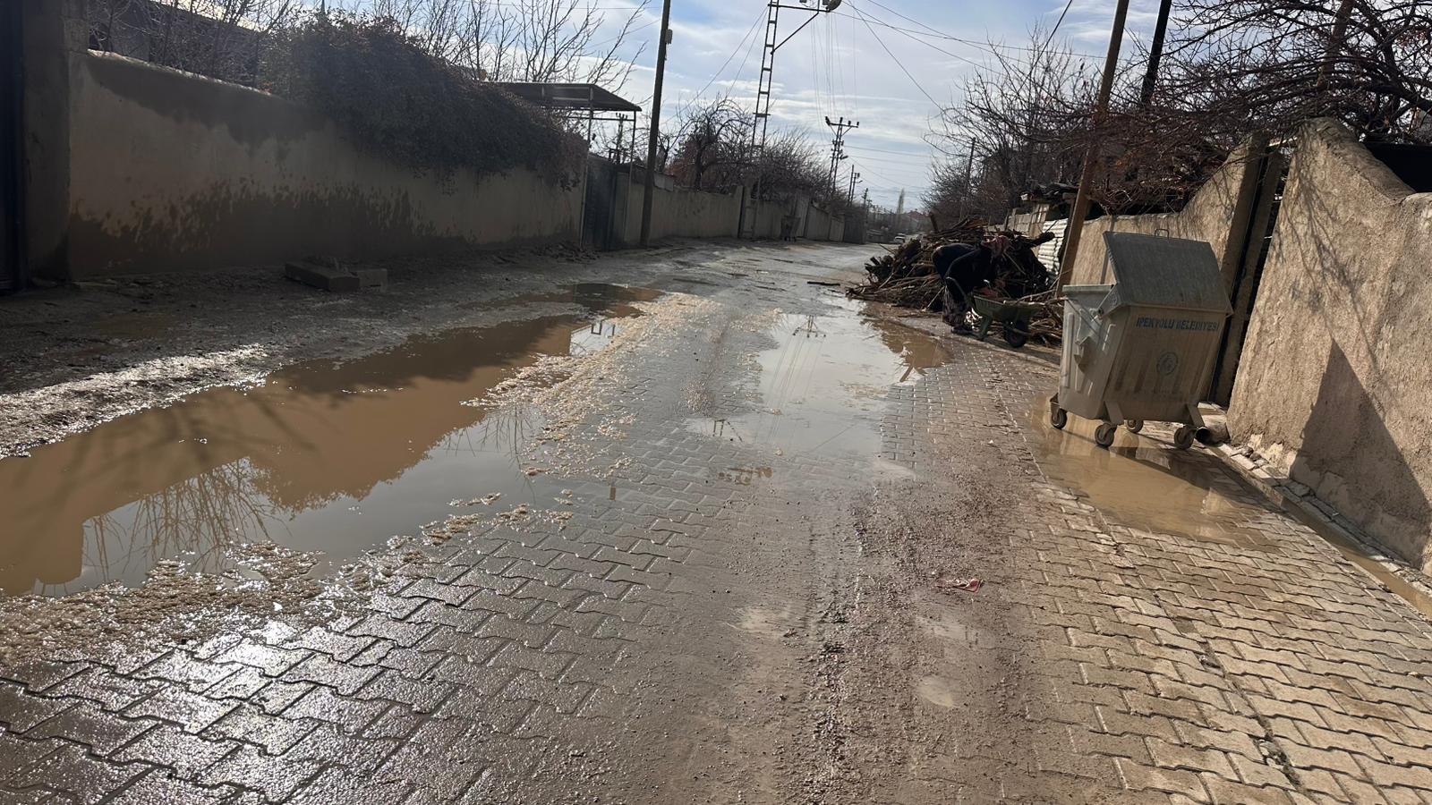 Fc422387 De8D 4Eb1 91Af 7E79Cde4D066