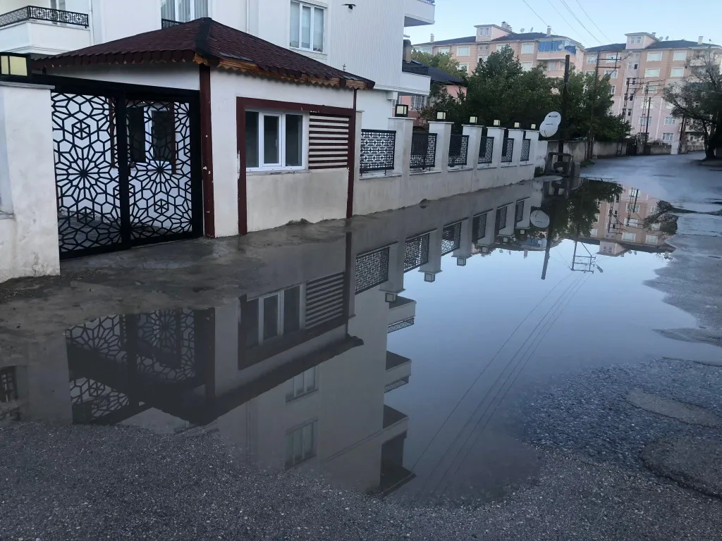 I M G 20251210 W A0032