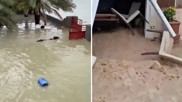 Pc 6Fc652Bdb776A3706B61F4F0B3B1A47E