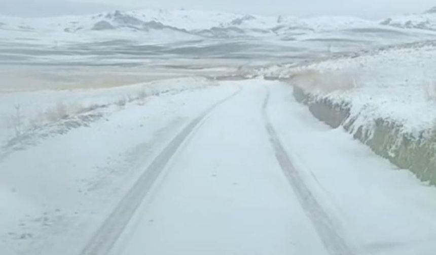 Türkiye'de İlk Sıralarında! (48)