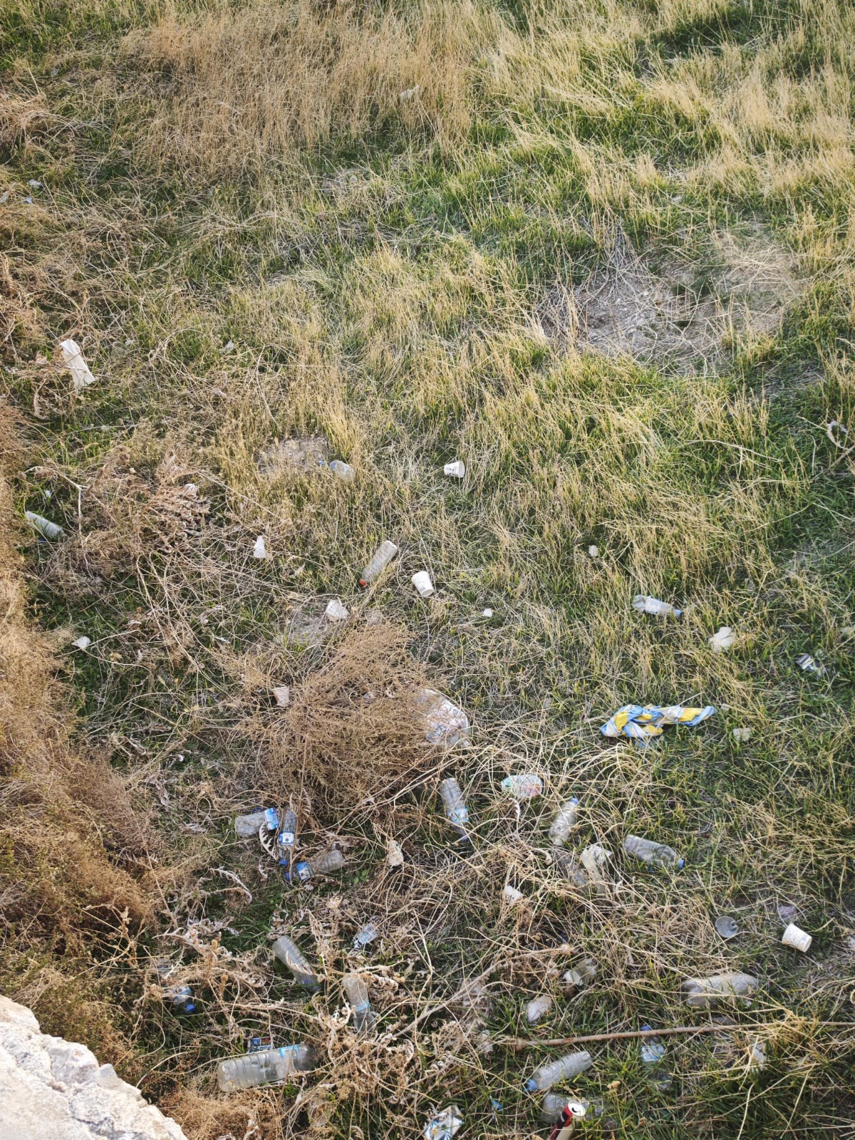 Whatsapp Image 2025 12 01 At 13.37.17