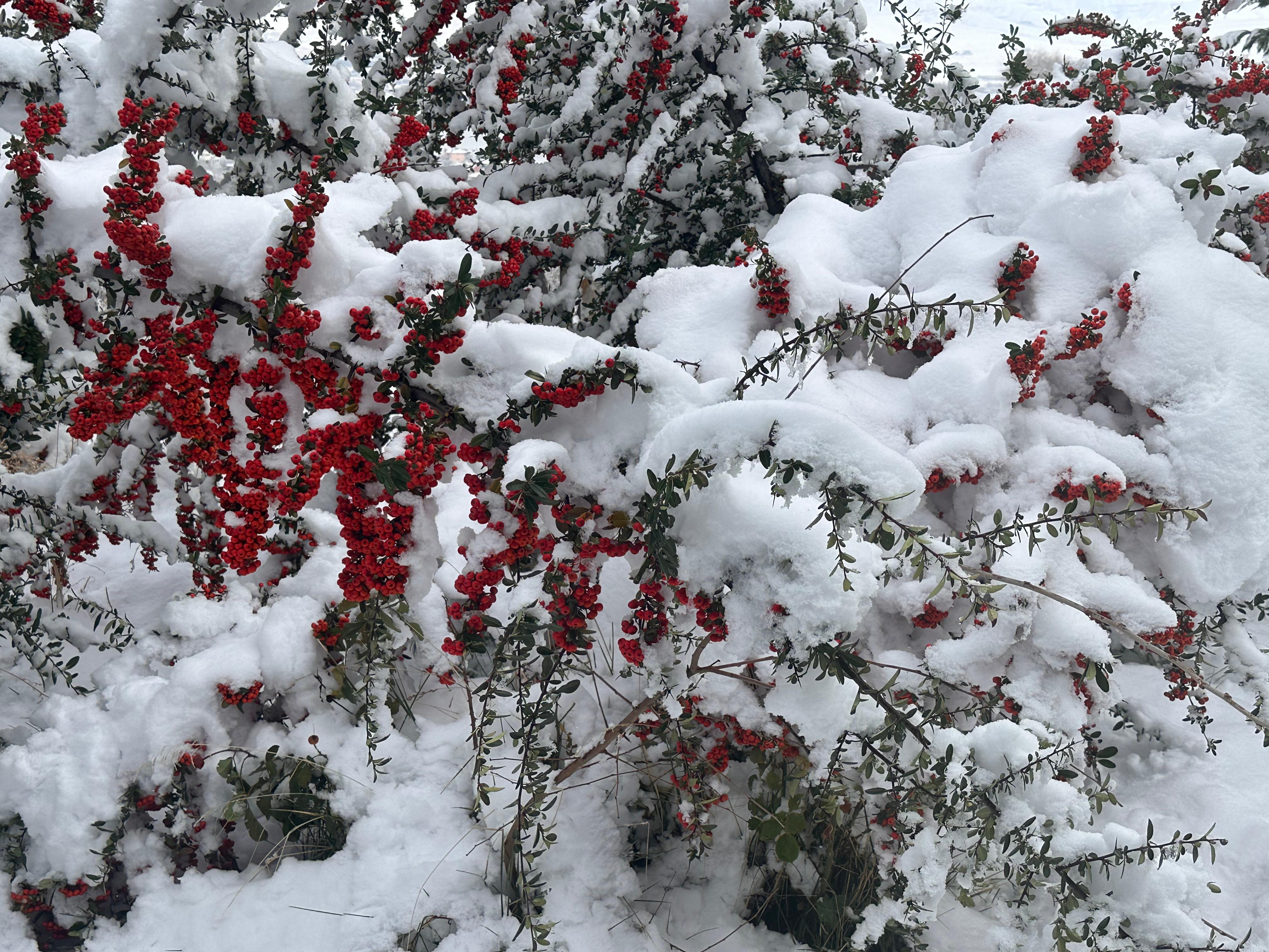 Whatsapp Image 2025 12 16 At 16.14.56