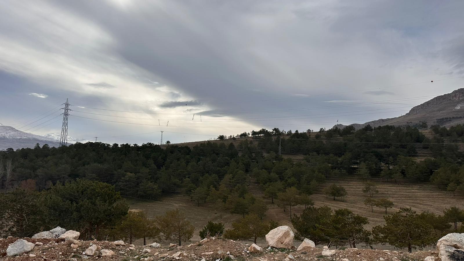 Whatsapp Image 2025 12 17 At 11.23.04