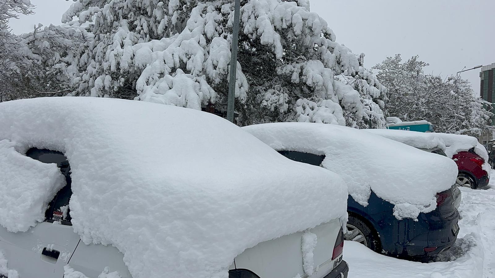 Whatsapp Image 2025 12 29 At 12.17.37