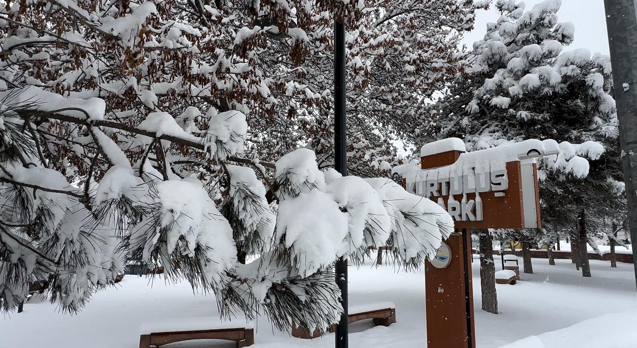 B8F9F98B F68F 40Bb 9793 E92Ff2883Cdf