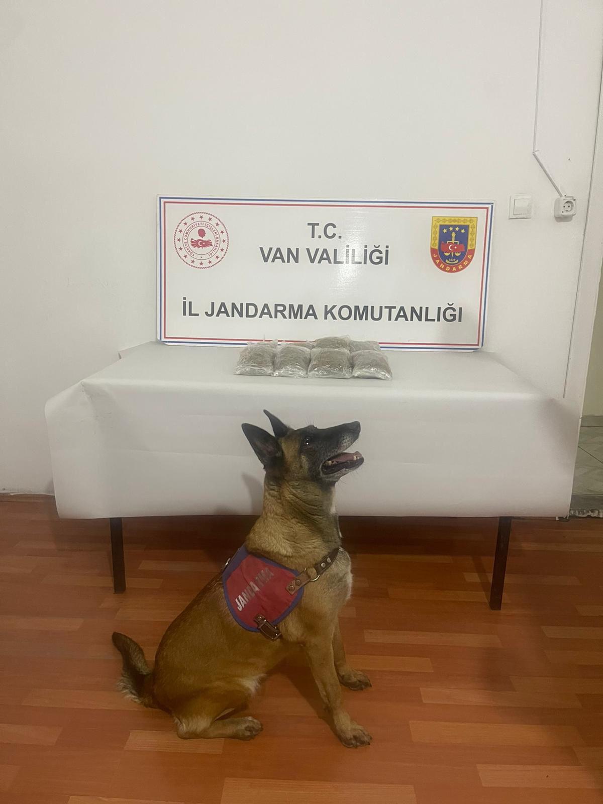 I M G 20260119 W A0026