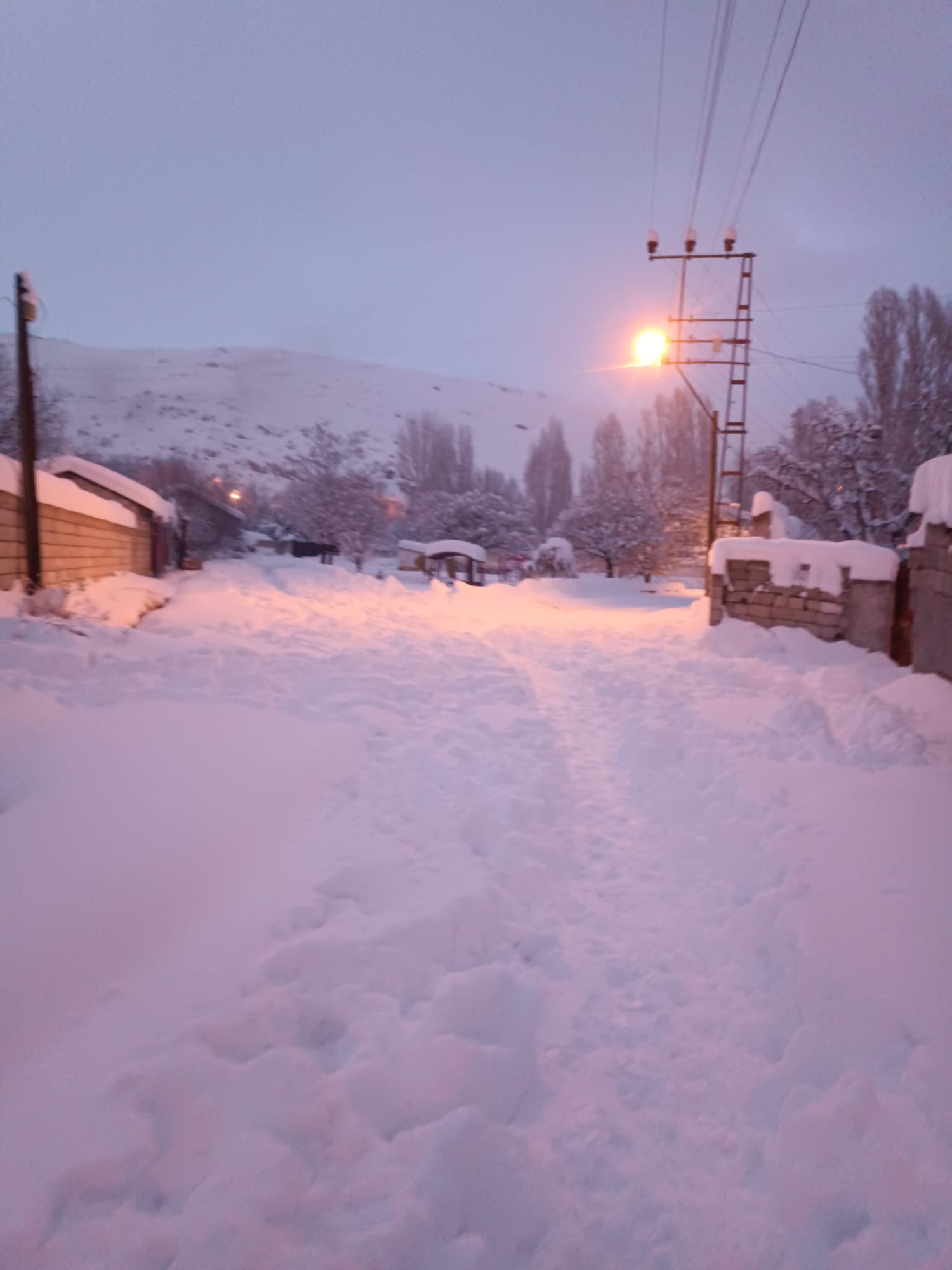 Whatsapp Image 2026 01 01 At 17.24.39