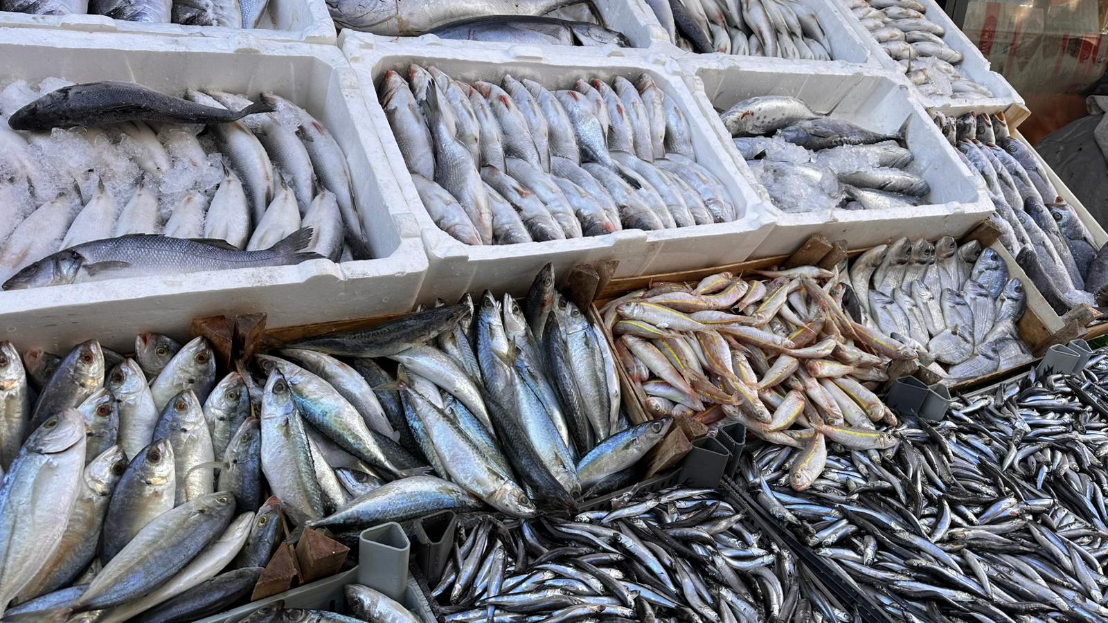 Whatsapp Image 2026 01 01 At 18.10.46 (2)