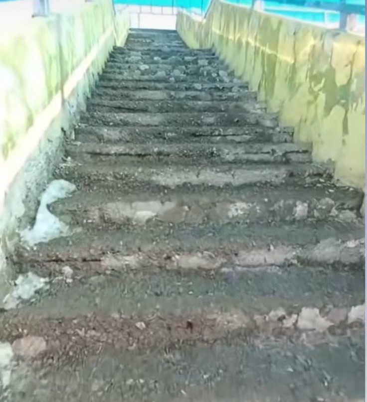 Whatsapp Image 2026 01 08 At 15.00.19